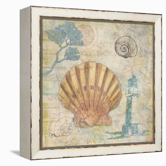 Discovery Shell II-Paul Brent-Framed Stretched Canvas