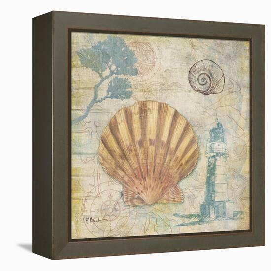 Discovery Shell II-Paul Brent-Framed Stretched Canvas