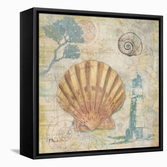 Discovery Shell II-Paul Brent-Framed Stretched Canvas