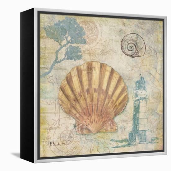 Discovery Shell II-Paul Brent-Framed Stretched Canvas