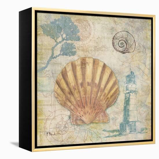 Discovery Shell II-Paul Brent-Framed Stretched Canvas