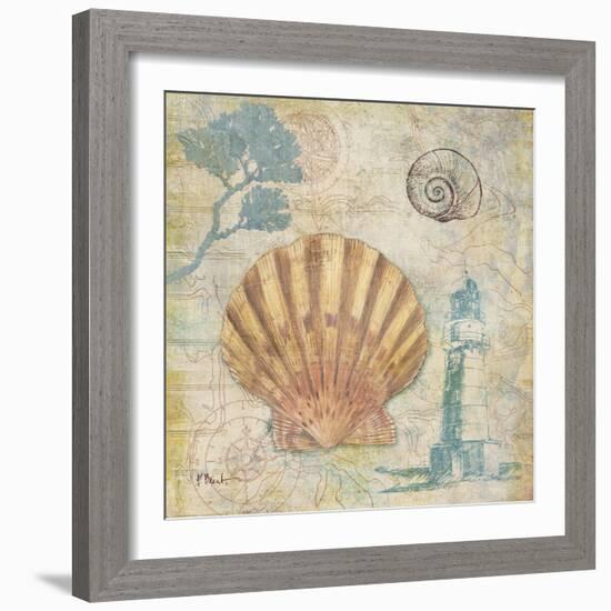 Discovery Shell II-Paul Brent-Framed Art Print