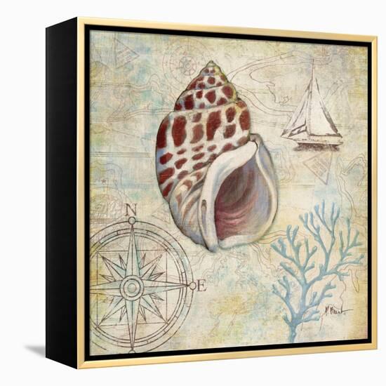 Discovery Shell IV-Paul Brent-Framed Stretched Canvas