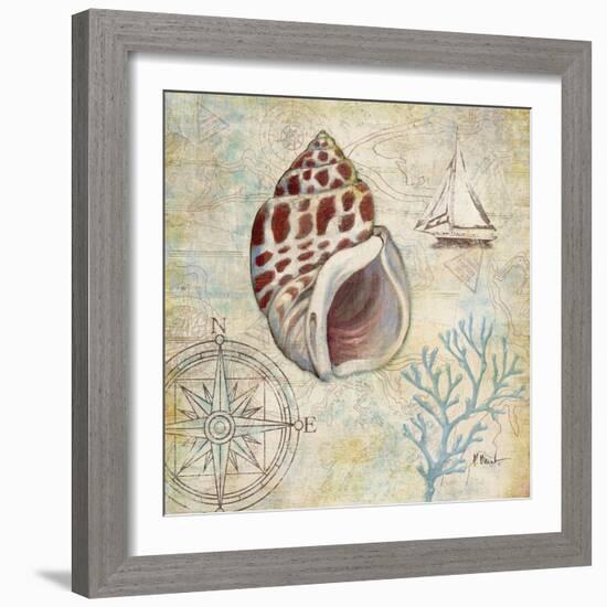 Discovery Shell IV-Paul Brent-Framed Art Print