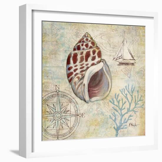 Discovery Shell IV-Paul Brent-Framed Art Print