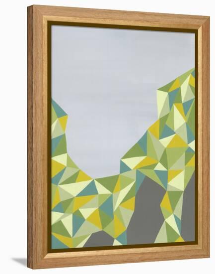 Discovery-Jaime Derringer-Framed Stretched Canvas