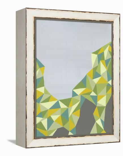 Discovery-Jaime Derringer-Framed Stretched Canvas