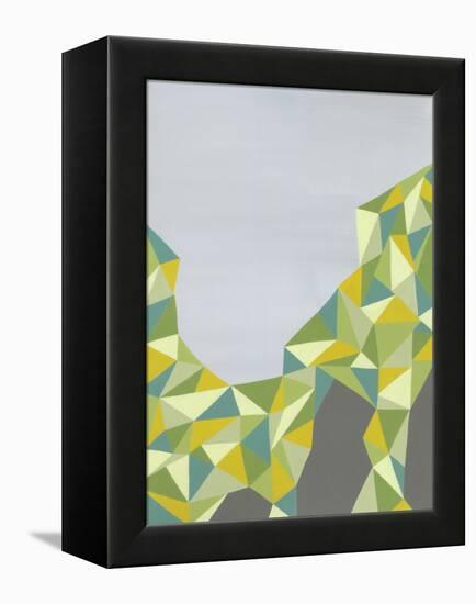 Discovery-Jaime Derringer-Framed Stretched Canvas