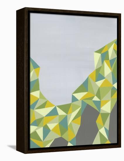 Discovery-Jaime Derringer-Framed Stretched Canvas