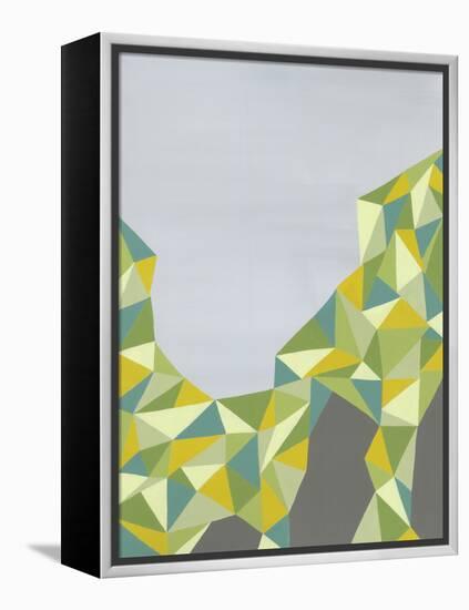 Discovery-Jaime Derringer-Framed Stretched Canvas