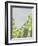 Discovery-Jaime Derringer-Framed Giclee Print