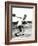 Discus Thrower at the Berlin Olympic Games, 1936-null-Framed Photographic Print