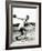 Discus Thrower at the Berlin Olympic Games, 1936-null-Framed Photographic Print