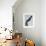 Discus Thrower-Konstantin Dimitriadis-Framed Photographic Print displayed on a wall