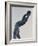 Discus Thrower-Konstantin Dimitriadis-Framed Photographic Print