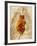 Diseased Heart-Mehau Kulyk-Framed Photographic Print