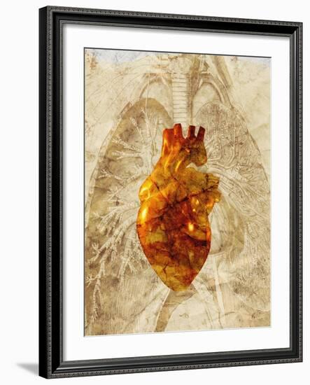 Diseased Heart-Mehau Kulyk-Framed Photographic Print