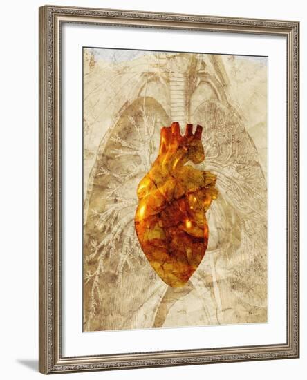 Diseased Heart-Mehau Kulyk-Framed Photographic Print