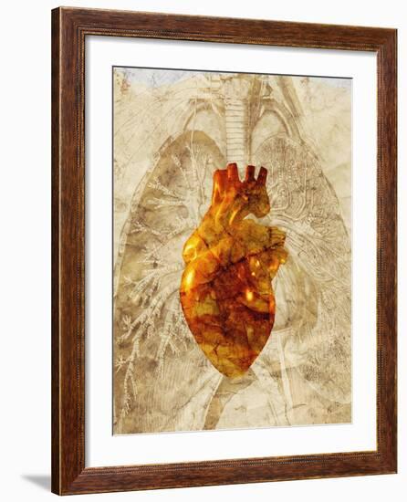 Diseased Heart-Mehau Kulyk-Framed Photographic Print