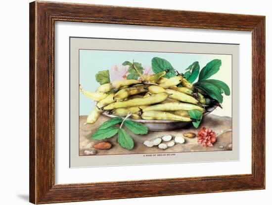 Dish of Broad Beans-Giovanna Garzoni-Framed Art Print