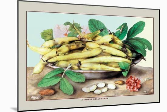 Dish of Broad Beans-Giovanna Garzoni-Mounted Art Print