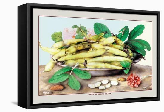 Dish of Broad Beans-Giovanna Garzoni-Framed Stretched Canvas