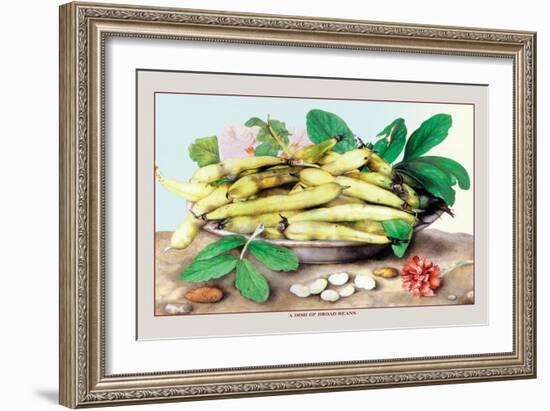 Dish of Broad Beans-Giovanna Garzoni-Framed Art Print