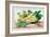 Dish of Broad Beans-Giovanna Garzoni-Framed Art Print