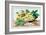 Dish of Broad Beans-Giovanna Garzoni-Framed Art Print