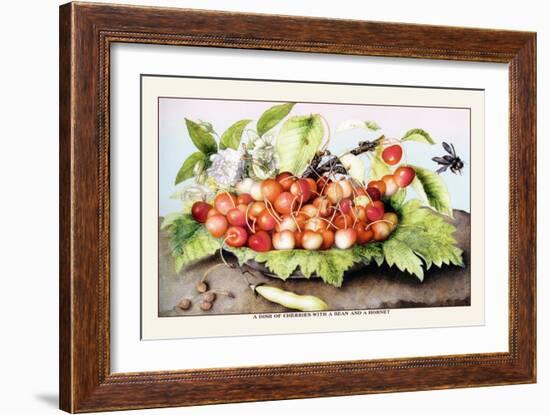 Dish of Cherries with a Bean and a Hornet-Giovanna Garzoni-Framed Premium Giclee Print