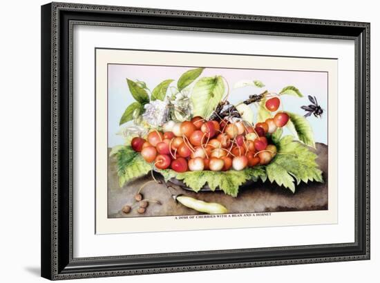 Dish of Cherries with a Bean and a Hornet-Giovanna Garzoni-Framed Art Print