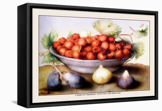 Dish of Cherries with Figs and Medlars-Giovanna Garzoni-Framed Stretched Canvas