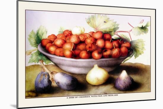 Dish of Cherries with Figs and Medlars-Giovanna Garzoni-Mounted Art Print