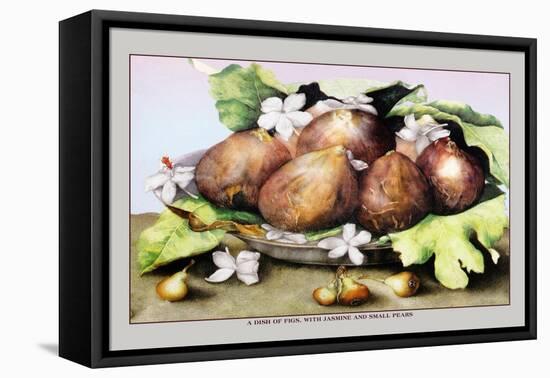 Dish of Figs with Jasmine and Small Pears-Giovanna Garzoni-Framed Stretched Canvas