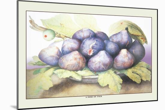 Dish of Figs-Giovanna Garzoni-Mounted Art Print