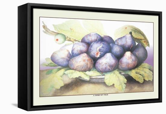 Dish of Figs-Giovanna Garzoni-Framed Stretched Canvas