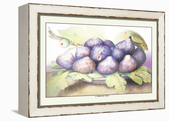 Dish of Figs-Giovanna Garzoni-Framed Stretched Canvas