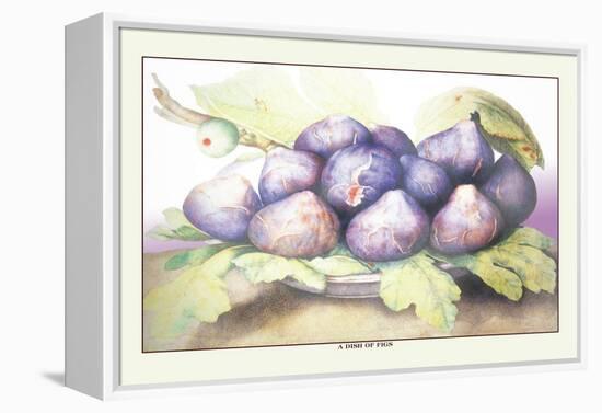 Dish of Figs-Giovanna Garzoni-Framed Stretched Canvas