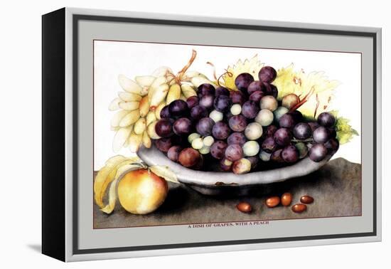 Dish of Grapes and Peaches-Giovanna Garzoni-Framed Stretched Canvas