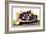 Dish of Grapes and Peaches-Giovanna Garzoni-Framed Art Print