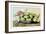 Dish of Medlars, A Rose, and Almonds-Giovanna Garzoni-Framed Premium Giclee Print