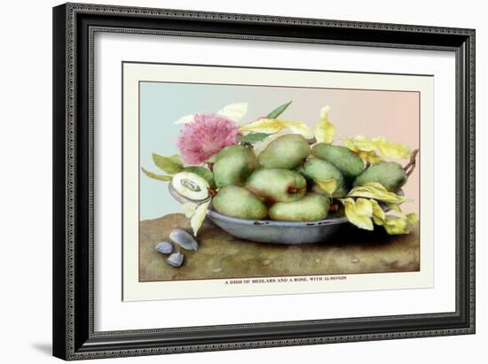 Dish of Medlars, A Rose, and Almonds-Giovanna Garzoni-Framed Art Print