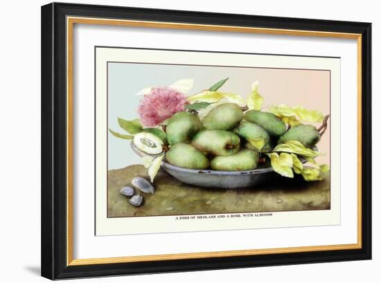 Dish of Medlars, A Rose, and Almonds-Giovanna Garzoni-Framed Art Print