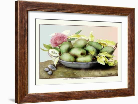 Dish of Medlars, A Rose, and Almonds-Giovanna Garzoni-Framed Premium Giclee Print