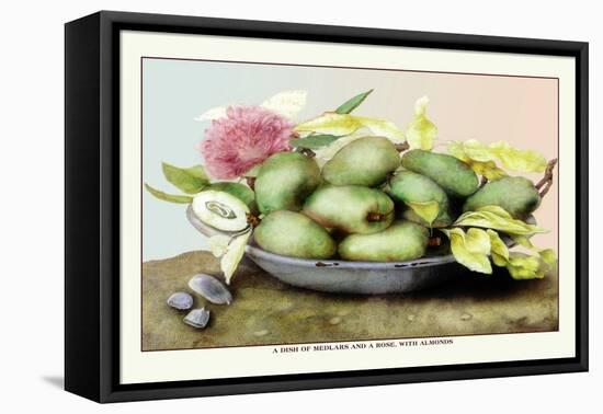 Dish of Medlars, A Rose, and Almonds-Giovanna Garzoni-Framed Stretched Canvas