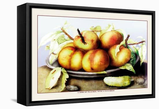 Dish of Peaches with a Cucumber-Giovanna Garzoni-Framed Stretched Canvas