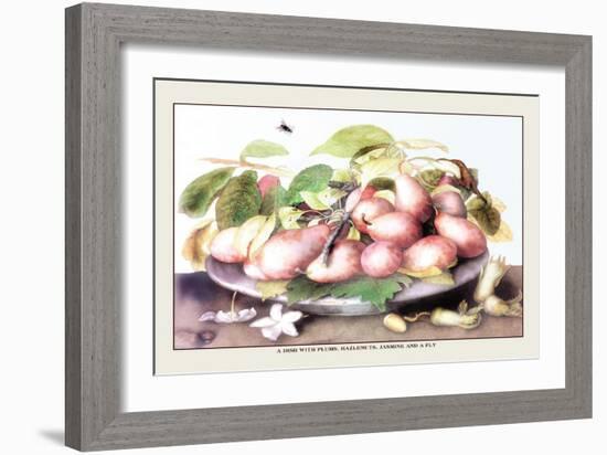 Dish of Plums, Nuts, Jasmine and a Fly-Giovanna Garzoni-Framed Art Print