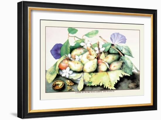 Dish of Plums with Jasmine and Walnuts-Giovanna Garzoni-Framed Art Print