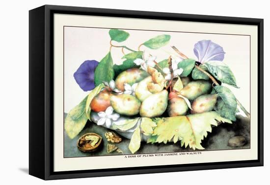 Dish of Plums with Jasmine and Walnuts-Giovanna Garzoni-Framed Stretched Canvas
