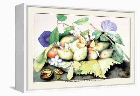Dish of Plums with Jasmine and Walnuts-Giovanna Garzoni-Framed Stretched Canvas